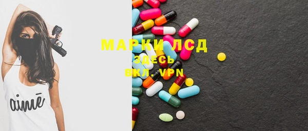 гидра Вяземский