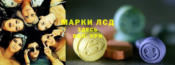 гидра Вяземский