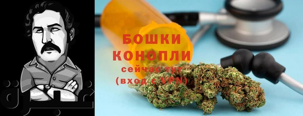 гидра Вяземский