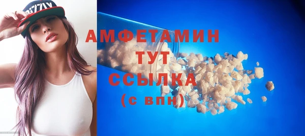 гидра Вяземский