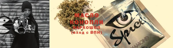 гидра Вяземский
