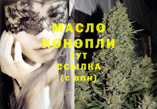гидра Вяземский
