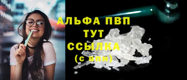 гидра Вяземский