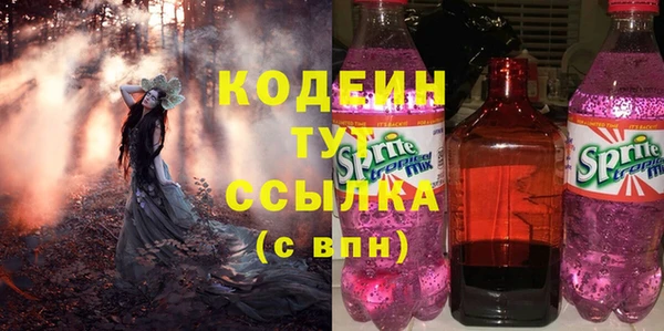 гидра Вяземский