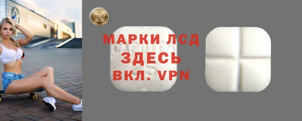 гидра Вяземский