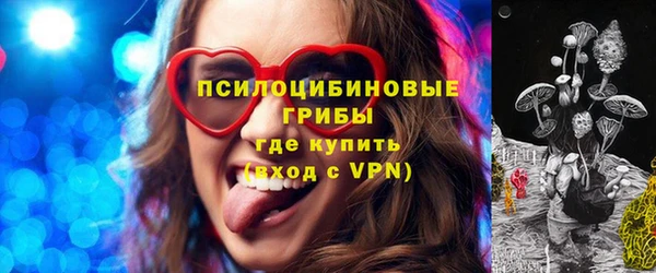 гидра Вяземский