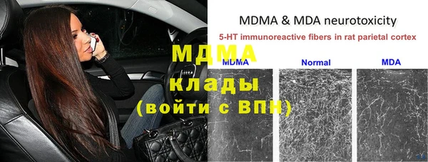 гидра Вяземский