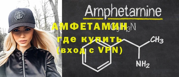 гидра Вяземский